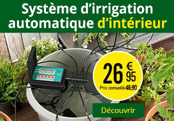 Pearl Diffusion L Innovation A Prix Discount Accueil